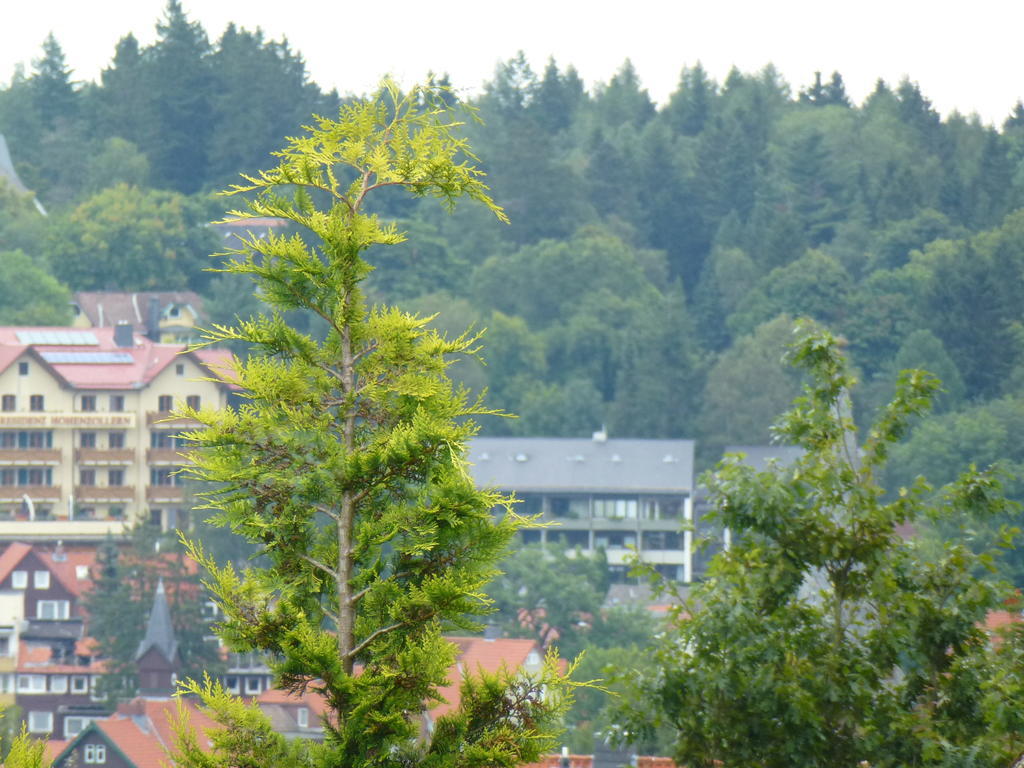 Harzhaus Willkommen Braunlage Exteriör bild